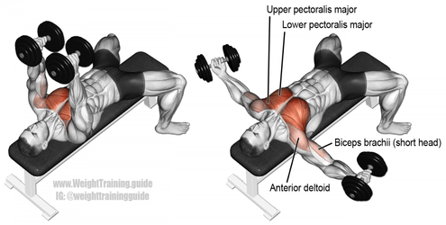 Example of dumbbell flys