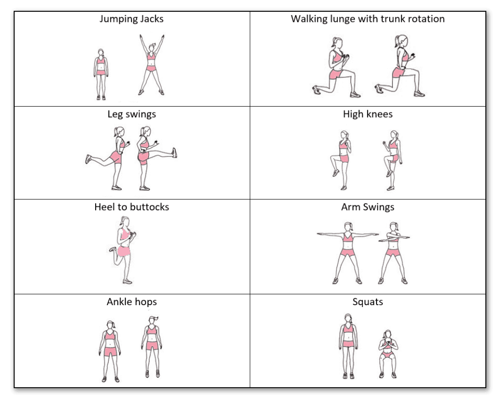 Illustrated list of dynamic stretches