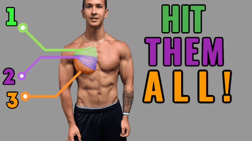 All of the areas in the chest that you should workout. 