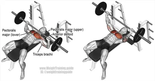 Example of the bench press