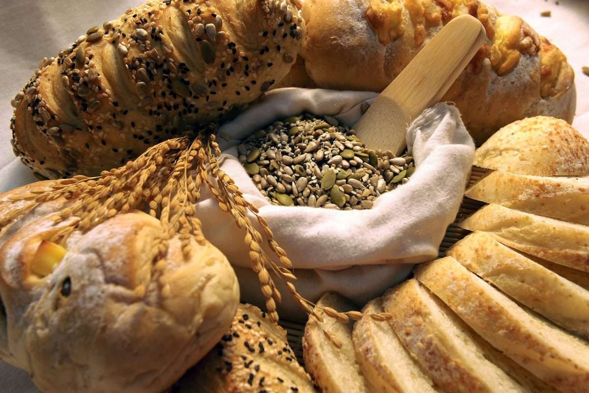 bread, healthy, carbohydrate-587597.jpg